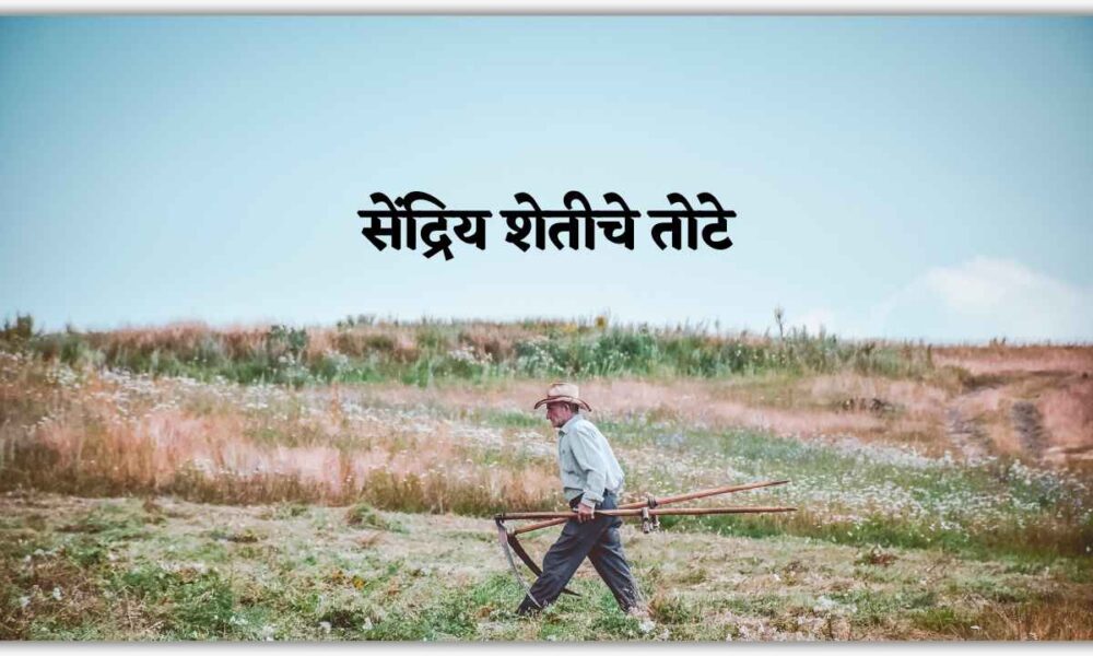 सेंद्रिय शेतीचे तोटे Disadvantages of Organic Farming in marathi