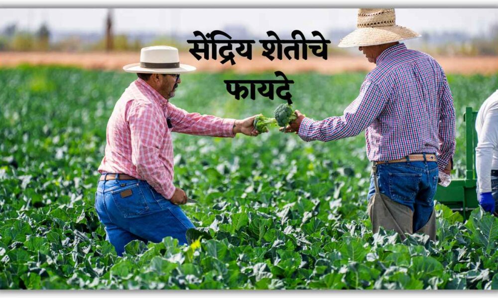 सेंद्रिय शेतीचे फायदे | Sendriya Shetiche Fayde in Marathi PDF