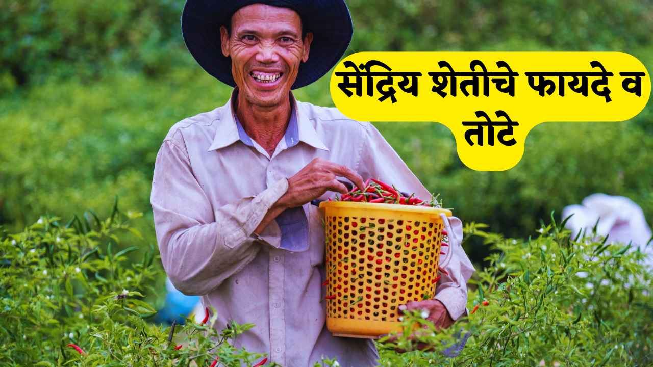 सेंद्रिय शेतीचे फायदे व तोटे । Advantages and Disadvantages of Organic Farming in Marathi